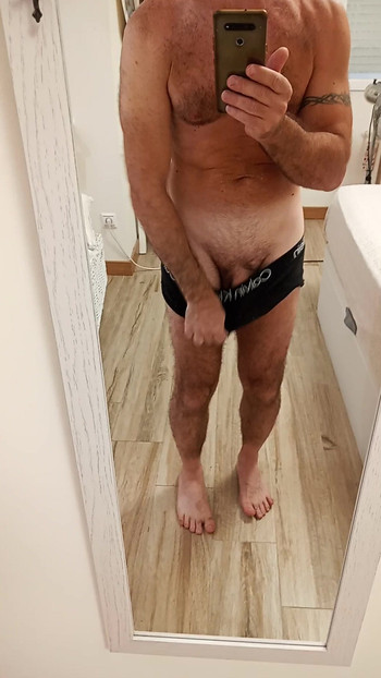 体