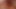 Ein Fototermin artet aus