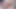 Trans Daylight