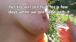 Pregled videozapisa