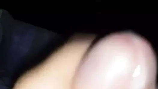 Daha fazla döl