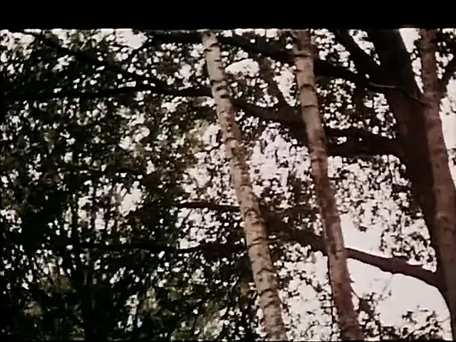 Lửa tình dục (1977)