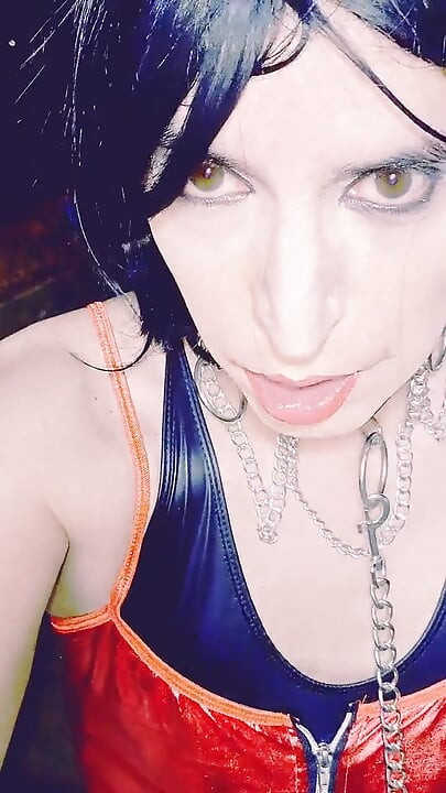 Tammysissy fugowane i