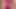 Cum in stepdaughter pink thong watching porn JOI