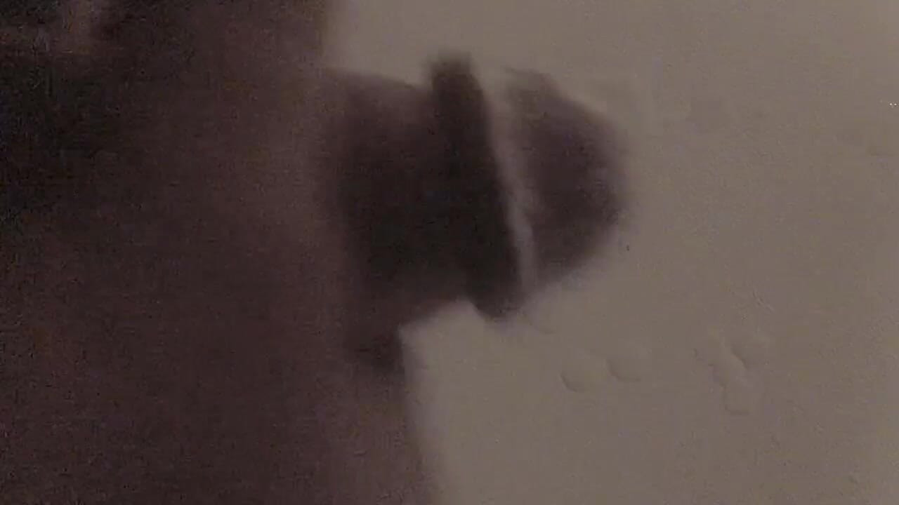Απλά απλά