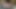 My wife humiliating my sissy cock pt3