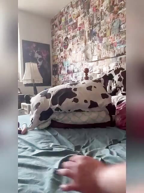 Succubus exploziv duminică