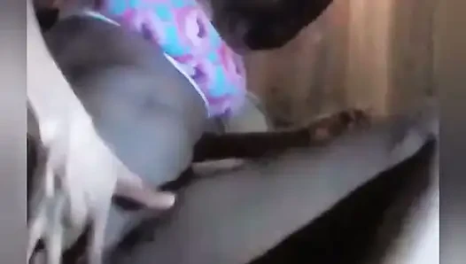 I Finger Myself Every Day