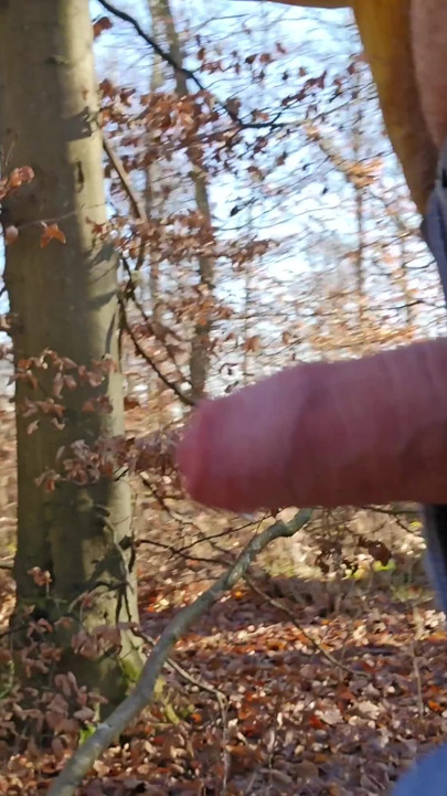 Jerking off and squirting in the forests around Heilbronn | Clip 1