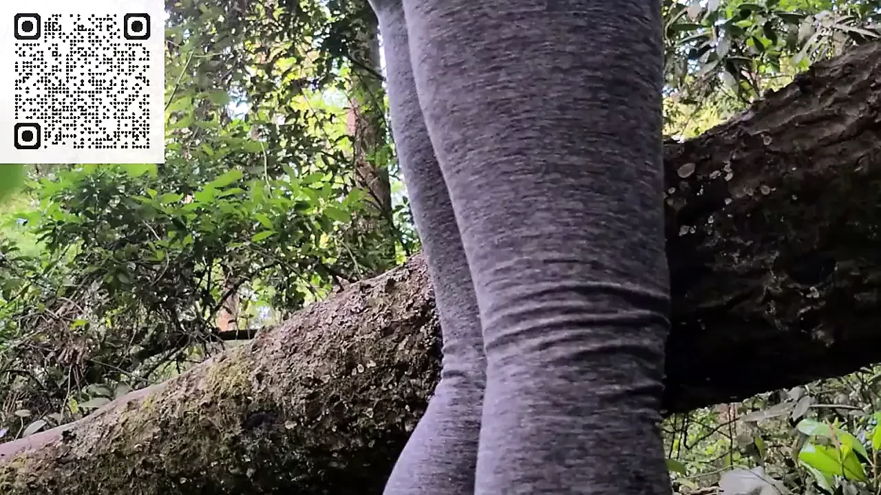 Long Nature Pee Public Trail Pissing – HOT