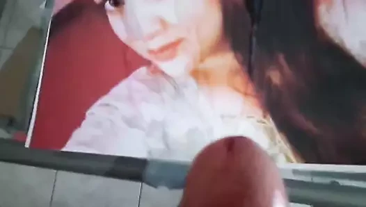 tributirr