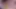 Hostes seksi Susi sert grup seks yapıyor