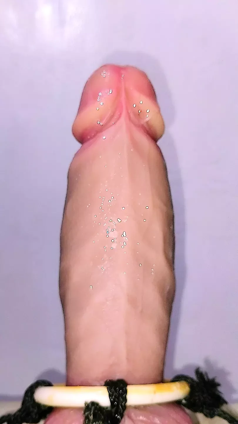 Brincando com seu favorito