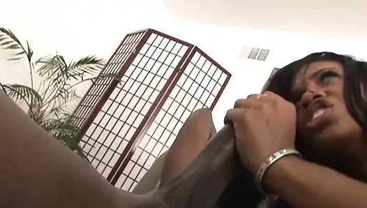 Doldurulacak bir eşek