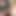 Yeni komşu büyük odunlu ayılar