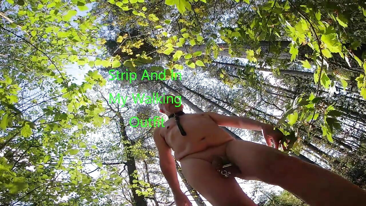 Frist Walk 2025
