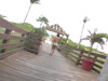 Pratinjau video