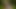 BBW Femdom in the forest