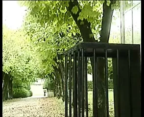 Die Schaukel