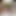 Serious Caregiver Fs Wild Turn, Toy, Fingers, and More Bring Endless Squirt and Creampie Rush