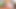 Amber Rayne und Charlotte lecken sich gegenseitig die Muschis