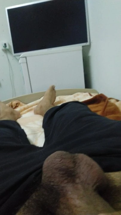 Big black cock masturbator Algerian Algeria algerie