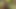 女の子がおっぱいを見せてくれる
