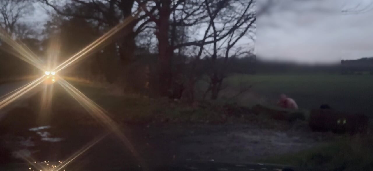 नग्न और नंगे पैर से छिपने वाली कारें लंड हिला रही हैं और मटका रही हैं