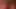 Pulsating Cock