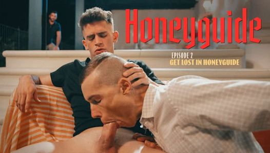 Honeyguide pt 2 twink perv bị đập bởi rich roommie