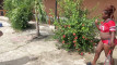 Pratinjau video