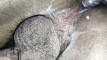 Pratinjau video