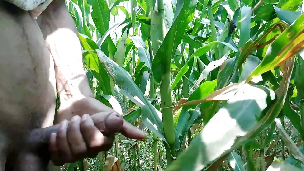 Indian Horny Man Playing with Big Cock
