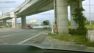 Nackt auf der vielbefahrenen Autobahn
