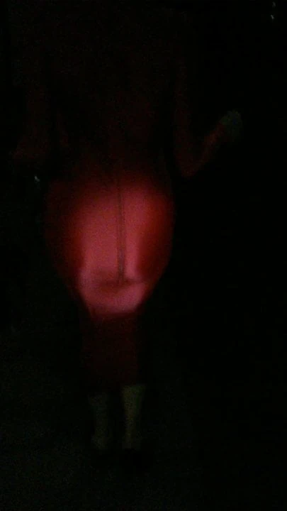 Nichole Dogwalking in a Hobbledress