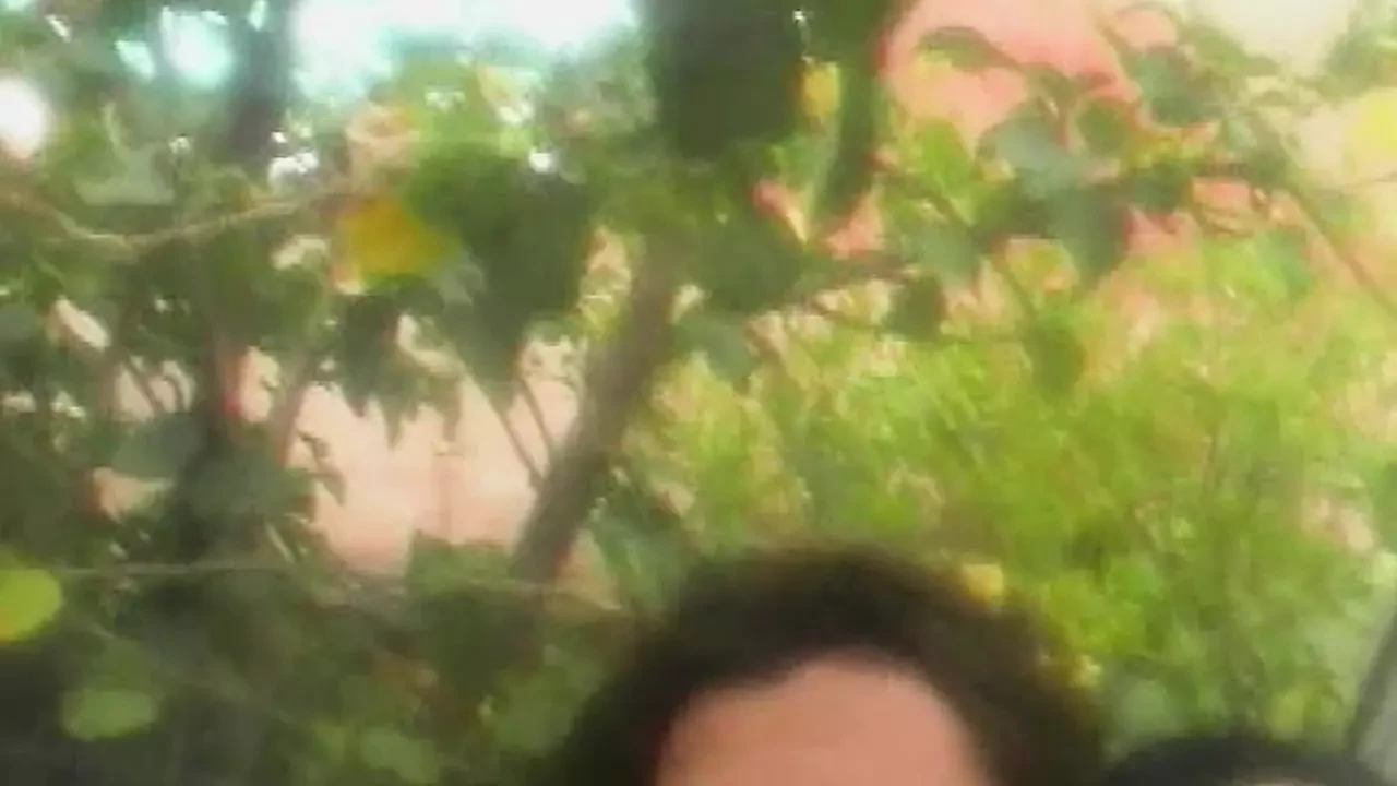 Kitty u smeloj avanturi