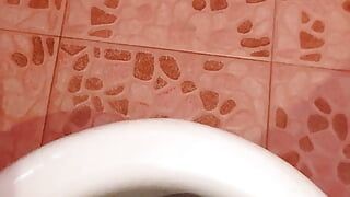 Poignée de main dans la salle de bain