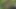 di tengah hutan sama gadis lokal colonbiana