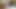 kızı joseline kelly babasının horoz için her şeyi yapar