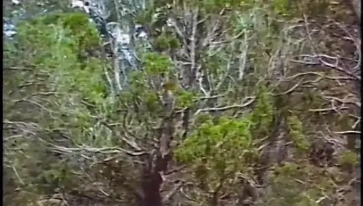 Randy gay stepbrothers suck cocks and fuck asses and jerk off afterwards in forest