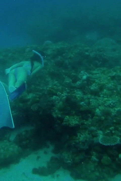 The Little Mermaid