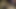 私の動画の中でベストビュー