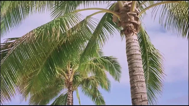 Ode To The Pioneers 5 (Restored)