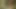 Outdoor seduction of a stranger: blowjob and pussy sex in the forest