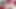VIP Underground витрина, три элитной модели показывают их приватную сторону вживую