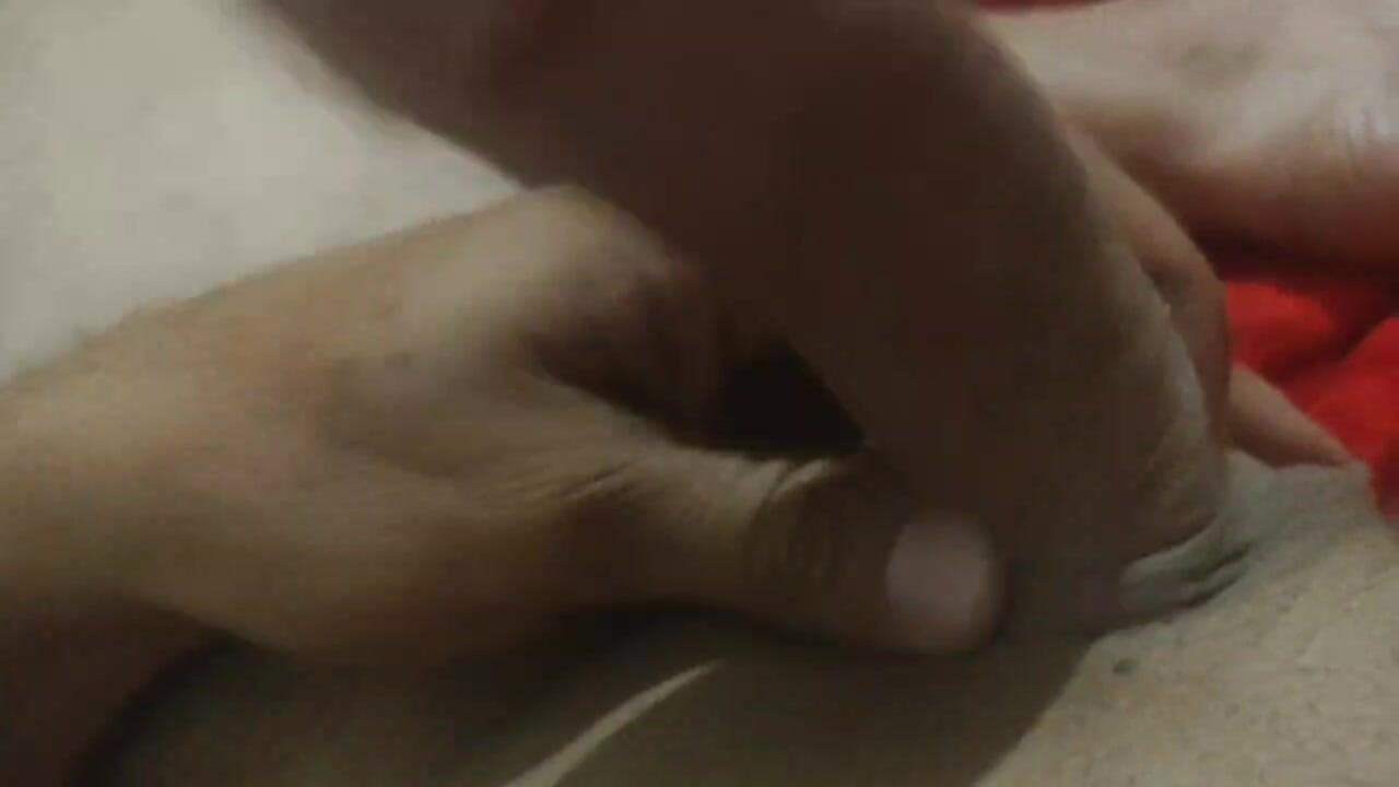 Algerian Cock Gats chikourrkk88