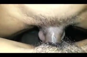 vm,xmv