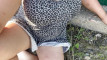 Pratinjau video