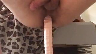 Scopata anale culo scopa enorme dildo
