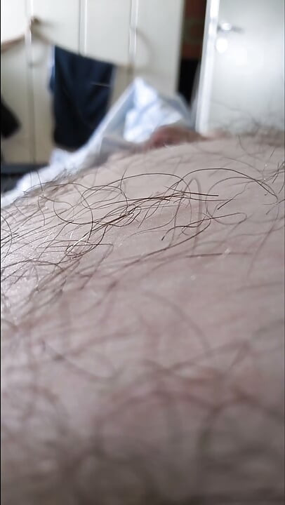 Camera Flight Over the Bear's Hairy Belly